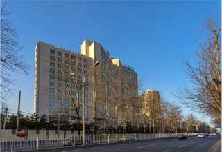 市场节能润滑油源头好货