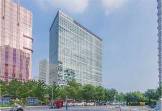 河北直销骨炭价格