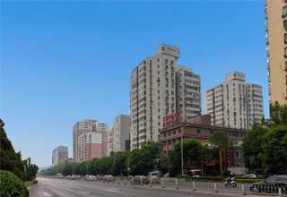 扭矩测量仪介绍